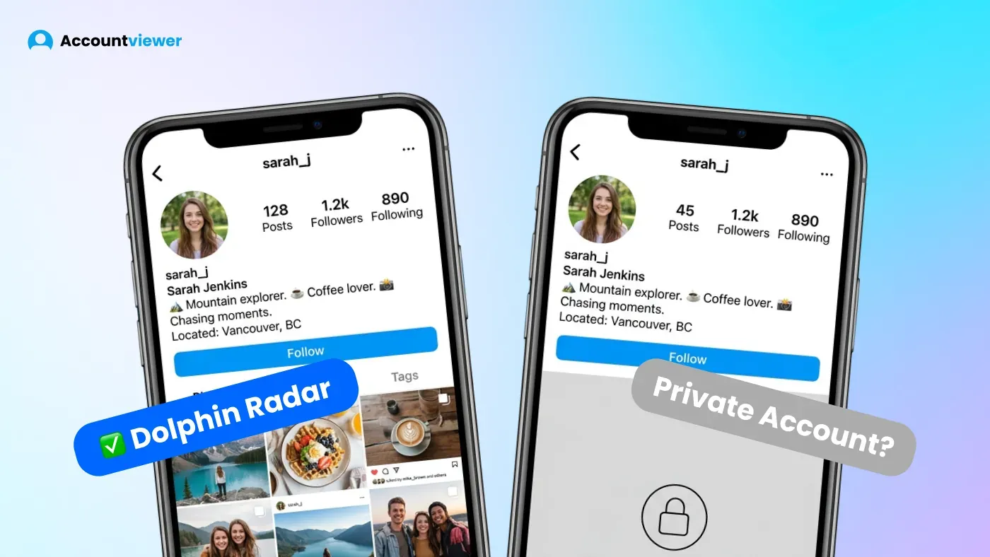 Dolphin Radar - tool that delivers on public Instagram account tracking.